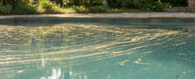 Pollen et sable fin : comment garder une eau cristalline au printemps ?