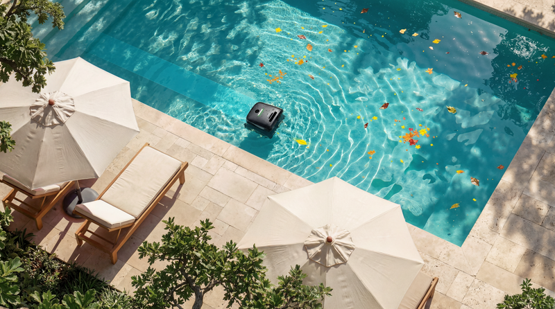 Piscine régulière