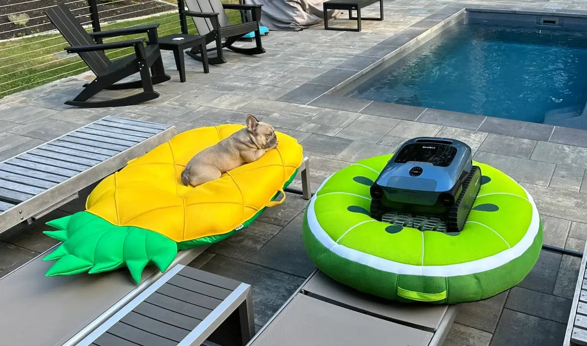 Avis client