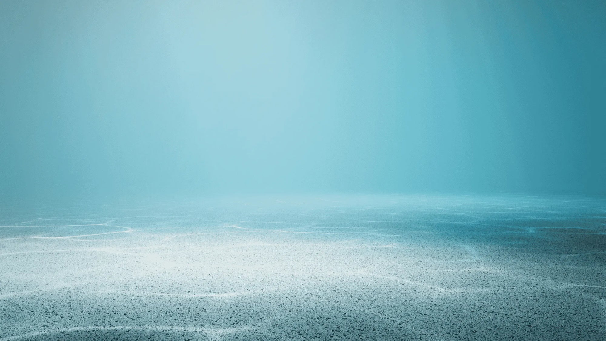 Filtration complète pour une piscine impeccable